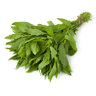 epazote  lomitos de valladolid maxicarne