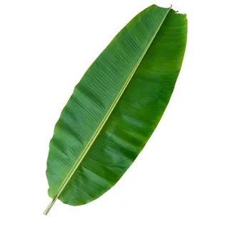 hojas de platano  tamales con carne molida maxicarne