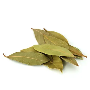 hojas de laurel  tacos de barbacoa maxicarne