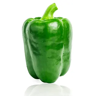 pimientos verdes  fajitas de espaldilla de cerdo maxicarne