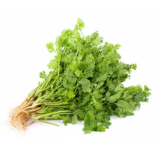 cilantro tacos al pastor maxicarne