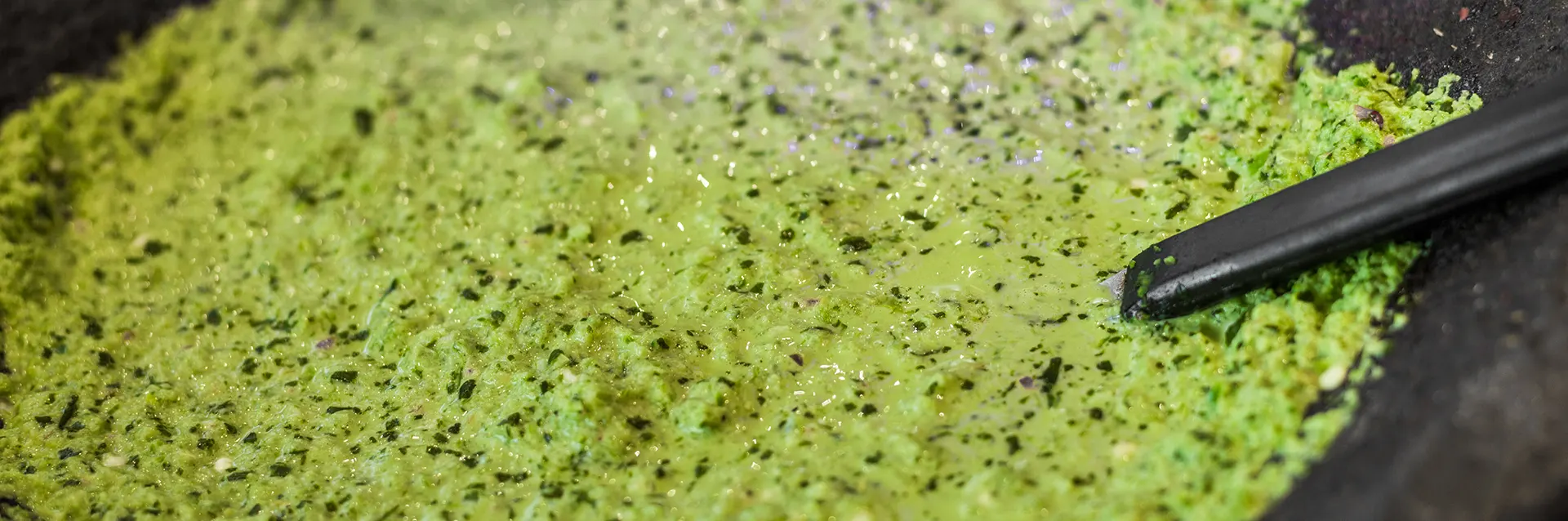 Cómo hacer salsa Tlayacapan